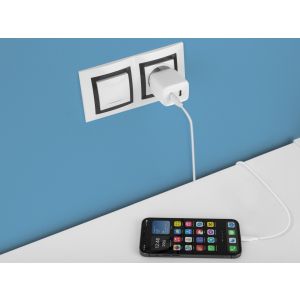 AVACOM HomePRO 2 sieťová nabíjačka s Power Delivery 40W s dvoma USB-C výstupmi NASN-PD2X-40WW