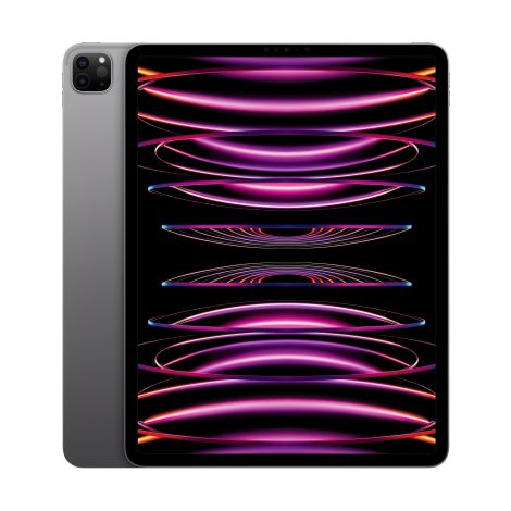 Apple iPad Pro 12.9"/WiFi/12,9"/2732x2048/16GB/1TB/iPadOS16/Space Gray MNXW3FD/A